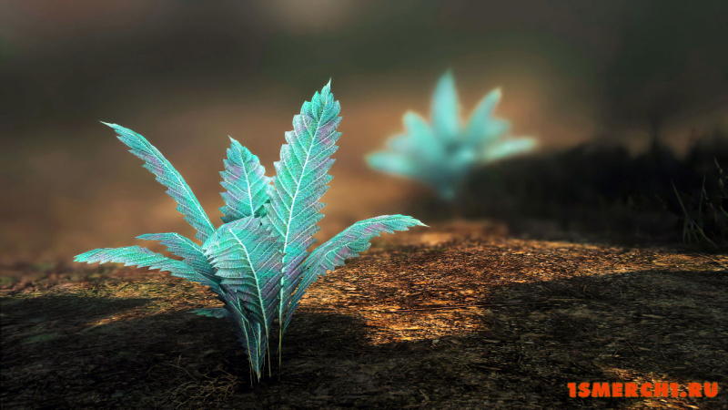 Nirnroot