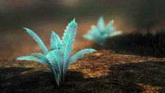 Nirnroot