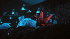 Nirnroot
