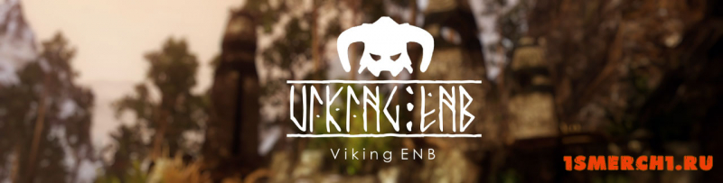 Viking ENB