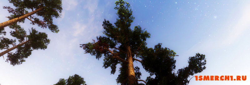 Viking ENB