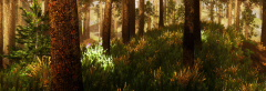 Viking ENB