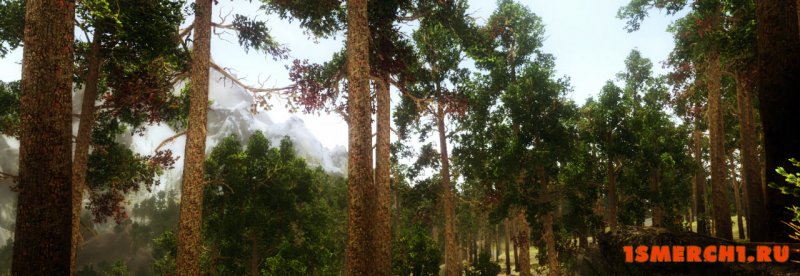 Viking ENB