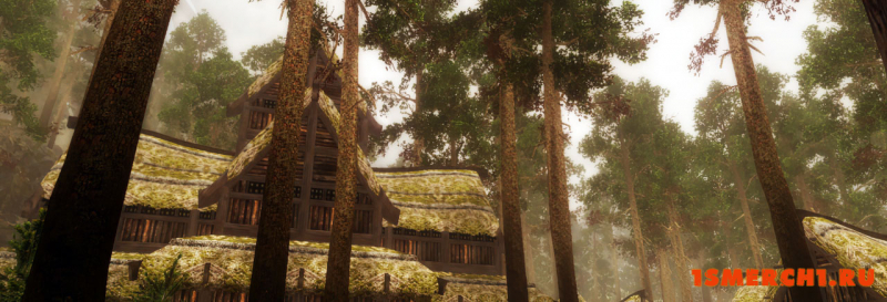 Viking ENB