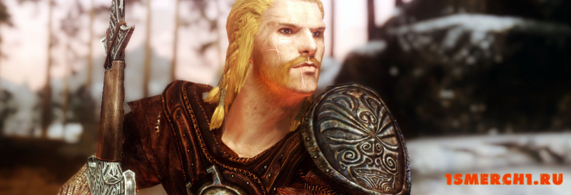 Viking ENB