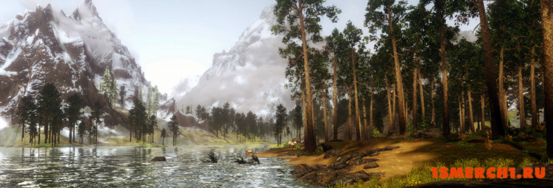 Viking ENB