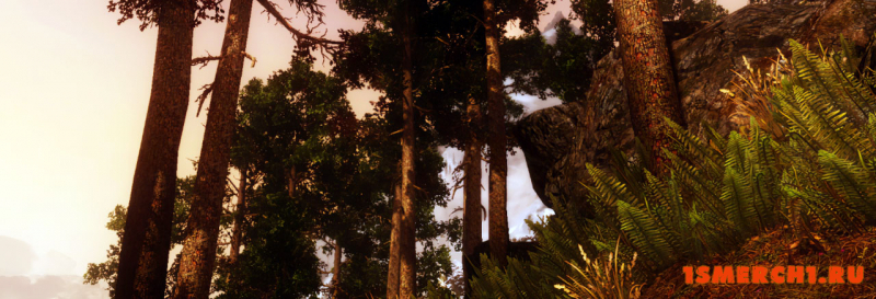 Viking ENB