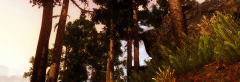 Viking ENB
