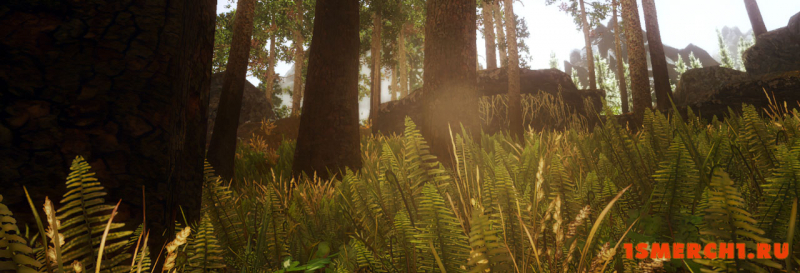 Viking ENB