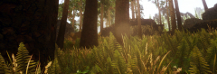 Viking ENB