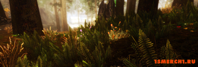 Viking ENB