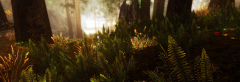 Viking ENB