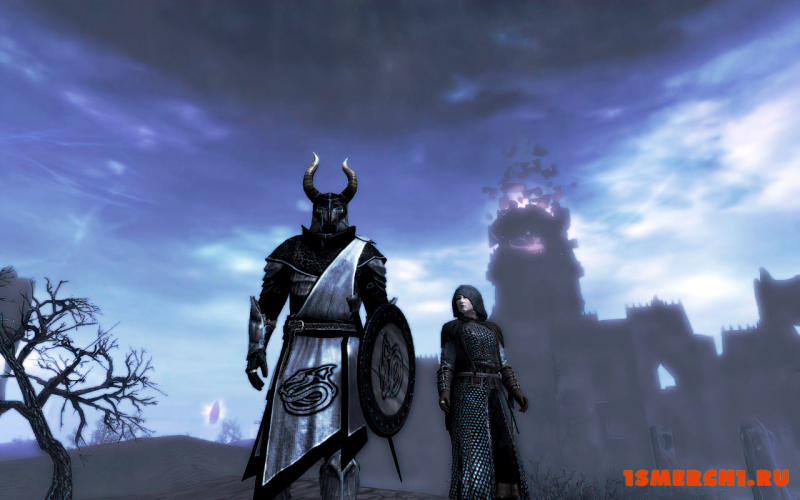 Skyrim Knights