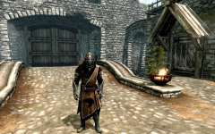 Skyrim Knights
