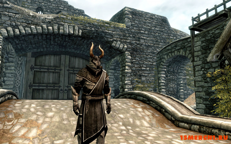 Skyrim Knights