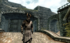 Skyrim Knights