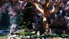 Honeyfrost Retreat