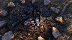Embers XD