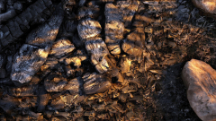 Embers XD