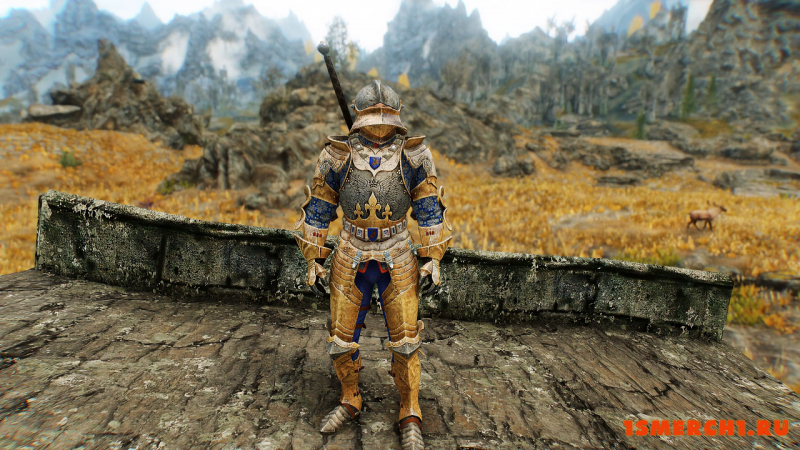 Wayrest Knight Armor