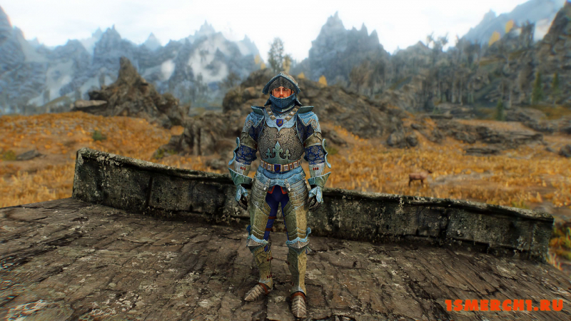 Wayrest Knight Armor