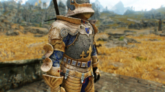 Wayrest Knight Armor