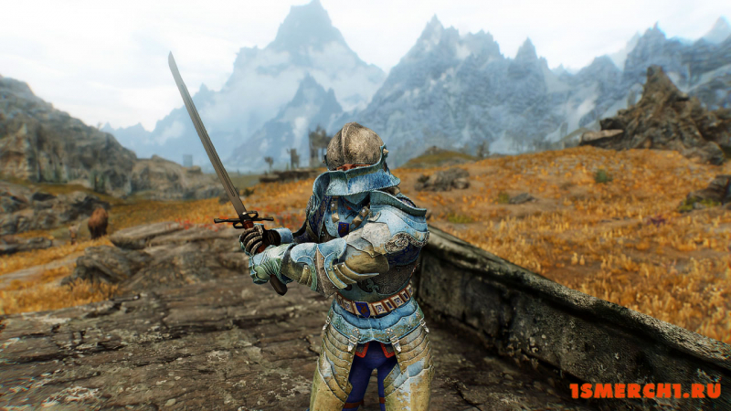 Wayrest Knight Armor