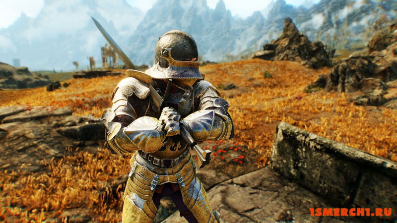 Wayrest Knight Armor