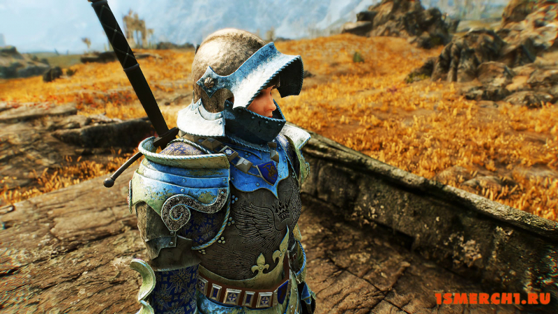 Wayrest Knight Armor