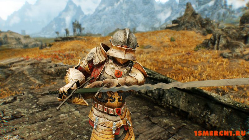 Wayrest Knight Armor