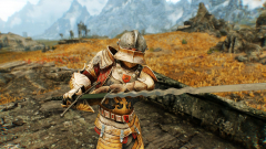 Wayrest Knight Armor