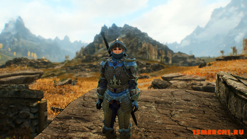 Wayrest Knight Armor