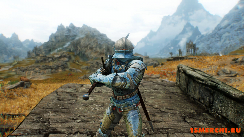 Wayrest Knight Armor