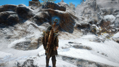 Magnus Robe