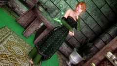 Triss' Dress