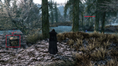 Raven Witch Armor