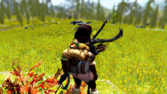 Stupid Grass