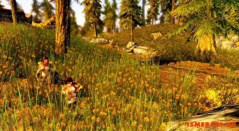 Stupid Grass