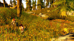 Stupid Grass