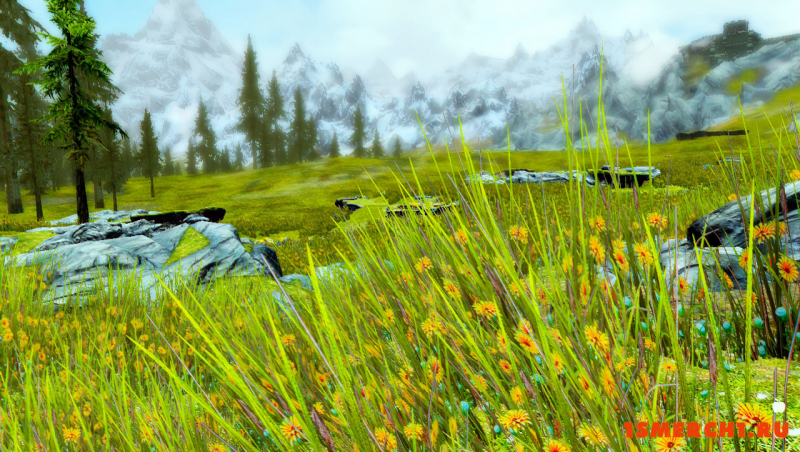 Stupid Grass