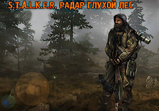 Радар глухой лес
