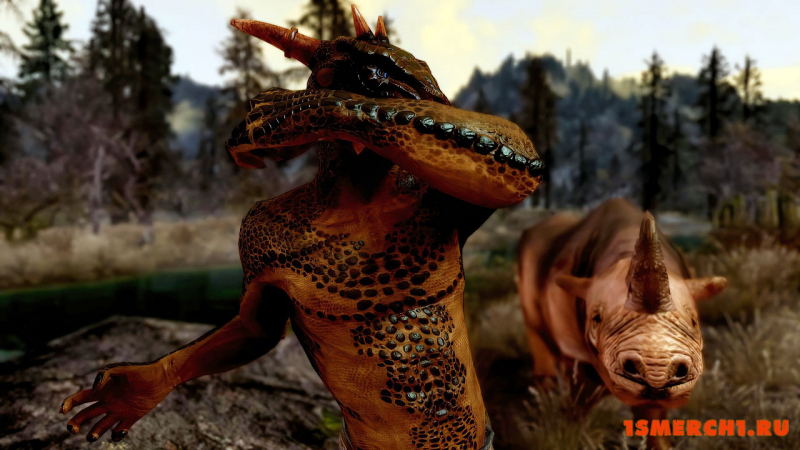 Impressive ENB