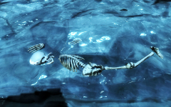 Predators - The Lost Tribes