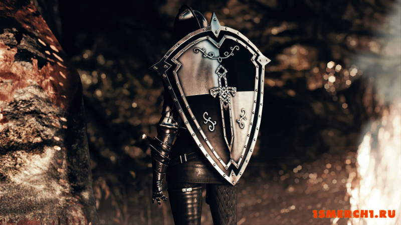 DX Dark Knight Armor