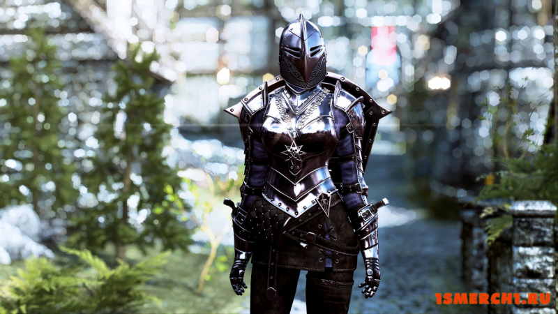 DX Dark Knight Armor