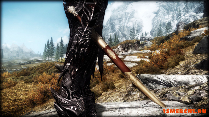 Sentinel Falchion