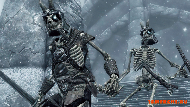 Armored Skeletons