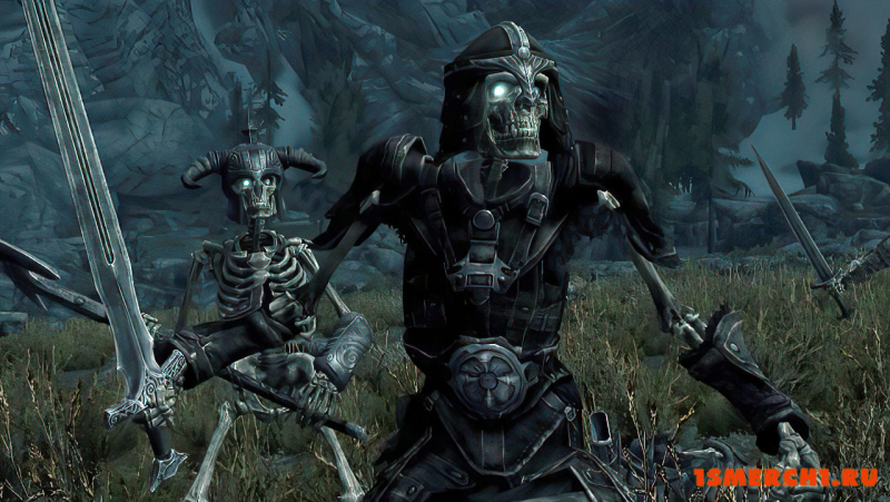 Armored Skeletons