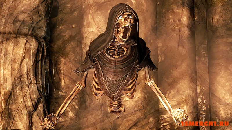 Armored Skeletons