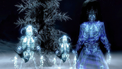 Armored Skeletons